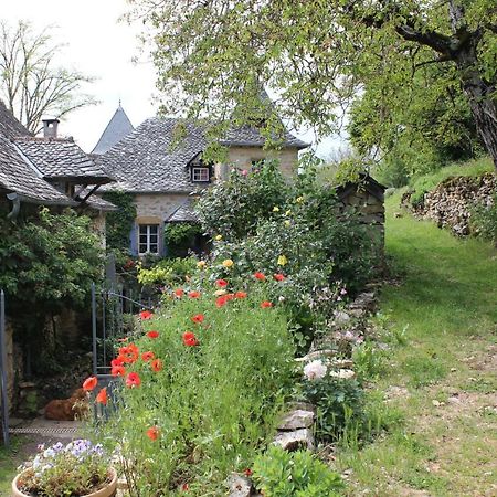 Les Terrasses de Labade Chambres d'hôtes Coubisou Exterior foto